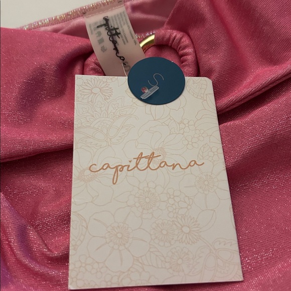 NWT Capittana Giselle Shine High-Waisted Bikini Bottoms Small Anthropologie - Picture 4 of 6